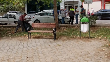 Kedi Evleri Kaldırıldı, Yavrular Sokakta Kaldı