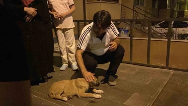 Yavru köpeğe çarpıp kaçtı, mahalleli seferber oldu
