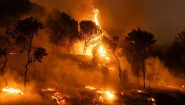 Eskişehir Valiliğinden Sıcak Hava ve Orman Yangını Uyarısı