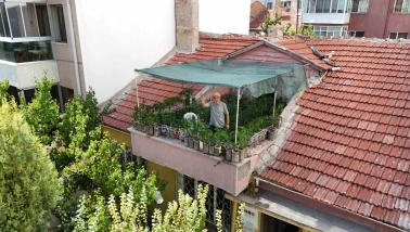 Eskişehirli Esnaf, Terasını 200 Bidonla Bahçeye Çevirdi