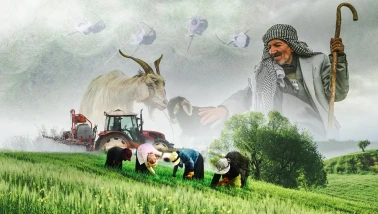 B-Reçete Nedir, Zorunlu mu Oluyor? (2026)