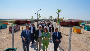 Eskişehir’de 2025 Boyunca Doğaya ve Can Dostlara Neler Yapıldı? İşte 1 Yıllık Çalışmalar