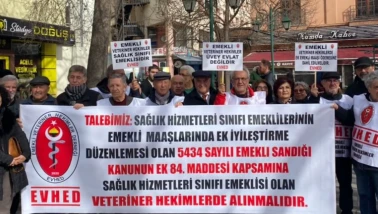Emekli Veteriner Hekimler: “Sağlık Sınıfında Üvey Evlat Muamelesi Görüyoruz”