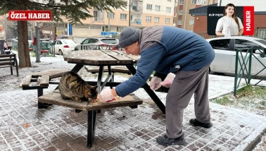 Eskişehir’de Sessiz Bir İyilik Hikâyesi: Fevzi Amca Sokak Hayvanları İçin Yollarda