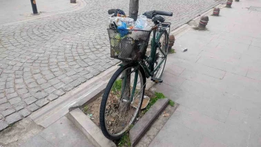 Aylardır Ağaca Kilitli Duran Bisikleti Çöp Kutusuna Çevirdiler