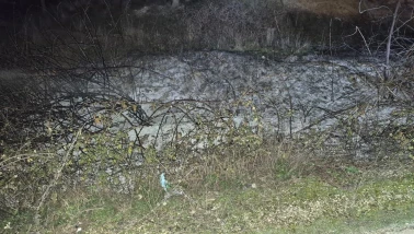 Bilecik’te Yol Kenarında Çıkan Ot Yangını Kontrol Altına Alındı