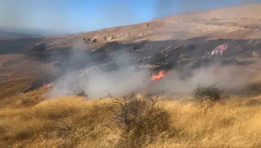Bozcaada'da trafodan sıçrayan kıvılcımlar otluk alanı küle çevirdi