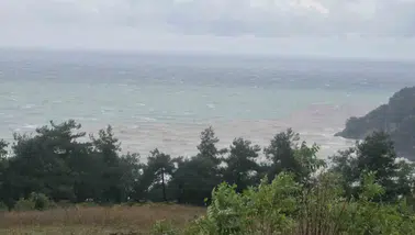 Bartın'da sağanak sonrası Karadeniz'in rengi değişti: Çamurlu sular kıyıya ulaştı