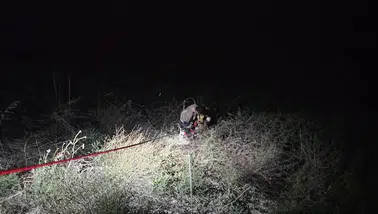 Asi Nehri'nde can pazarı: İtfaiye ekipleri mahsur kalan koçu kurtardı