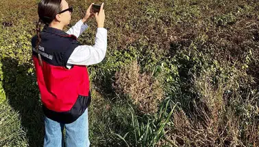 Altıntaş'ta tarımsal desteklerin doğrulanması için saha denetimleri tamamlandı