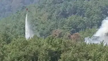 Kozan'da kontrol altına alınan ormanlık alanda alevler yeniden yükseldi