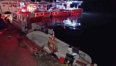 Ordu'da denize açılan balıkçının kayığı boş bulundu: Acı haber Perşembe açıklarından geldi