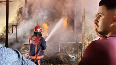 Adapazarı'nda samanlık yangını: Binlerce balya kül oldu, 4 kişi hastanelik