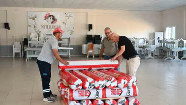 Manisa'da çilek üreticisinin maliyet yükü yüzde 75 hibe ile hafifletildi