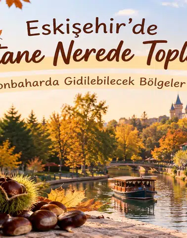 Eskişehir’de Kestane Nerede Toplanır? Sonbaharda Gidilebilecek Bölgeler