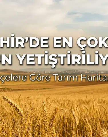 Eskişehir’de En Çok Hangi Ürün Yetiştiriliyor? İlçelere Göre Tarım Haritası