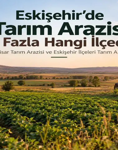 Eskişehir’de Hangi İlçede Daha Fazla Tarım Arazisi Bulunuyor?