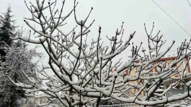 Eskişehir'de Gece Boyunca Yağan Kar, Sabahı Büyüleyici Bir Manzaraya Dönüştürdü!