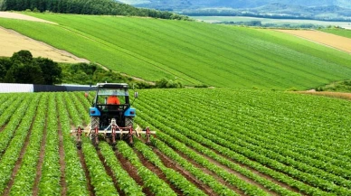 Tarımsal Destekleme Ödemeleri Bugün Çiftçilerin Hesaplarına Aktarılıyor