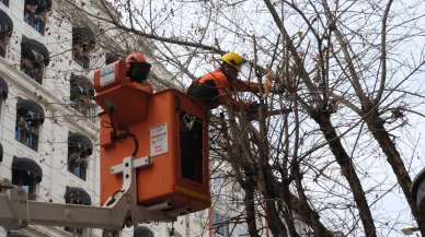 Eskişehir Büyükşehir Belediyesi’nden Ziya Paşa Caddesi’nde Budama Çalışması Uyarısı