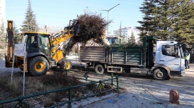 Eskişehir'de Araç Sürücülerine Ağaç Budama Alanlarında Park Yasağı Uyarısı!