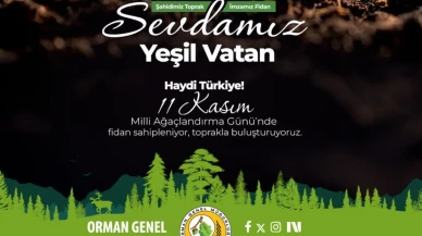 11 Kasım’da Eskişehir ve Afyonkarahisar’da 436 bin fidan toprakla buluşacak