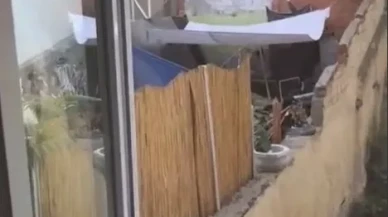 Köpeğe şiddet görüntülerine hızlı müdahale: Şüpheli gözaltına alındı