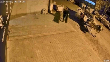 At arabalı hırsızlar aynı gün içinde yakalandı