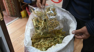 Sonbaharda Poşet Bitki Çayı Uyarısı: “Sallama Çay Risk Taşıyor”