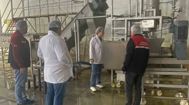 Afyonkarahisar'da Hayvansal Yem Üreten İşletmeye Yönelik Denetim