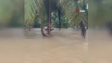 Güney Asya’da muson felaketi: Endonezya’da ağaçlara tutunarak kurtarılmayı bekleyen afetzedeler kamerada