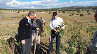 Kaymakam Alperen Teltik şeker pancarı tarlasında