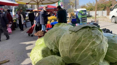Devasa lahanalar pazardaki yerini aldı