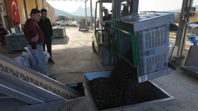 Eskişehir’in O İlçesinde Zeytinyağının Soğuk Sıkım Yolculuğu