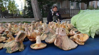 ’Melki’ ismiyle bilinen Kanlıca mantarı pazarda yerini aldı