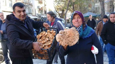Melki adıyla bilinen kanlıca mantarının fiyatı düştü