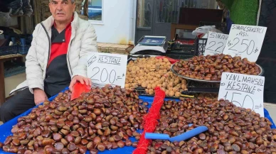 Kış aylarının vazgeçilmezi Simav kestanesi