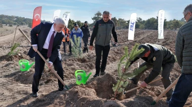 TEI’den 17 bin fidanlık 40. Yıl Hatıra Ormanı