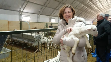 Eskişehir'de Hayvancılar ve Arıcılar İçin Müjde! Başvurular Başladı