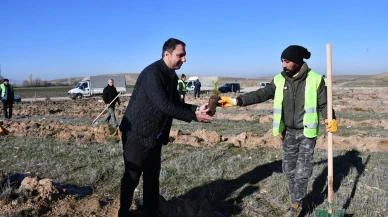 Beylikova Belediyesi’nden Doğaya Büyük Katkı: Bin Karaçam Fidanı Dikildi