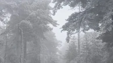 Eskişehir’e Mevsimin İlk Karı Düştü: Mihalıççık Beyaza Büründü