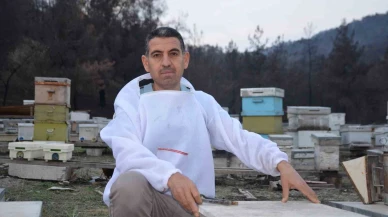 Hobi Olarak Başladı, Türkiye’nin Ana Arı Tedarikçilerinden Biri Oldu