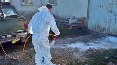 Çavdarhisar’da Hayvan İşletmelerinde Dezenfeksiyon Çalışması Yapıldı