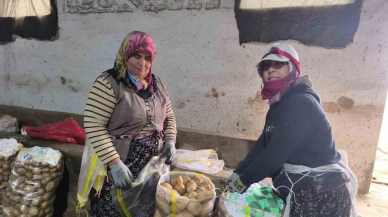Şuhut’ta Patates Hasadı Sona Erdi, Fiyatlar Üreticiyi Memnun Etti