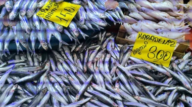 Balık Tezgâhları Soğuk Havayla Bereketlendi