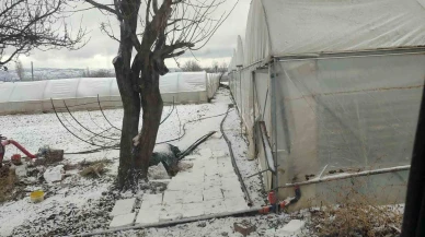 Eskişehir’de Seralar Dondu, Çiftçiler Ateş Yakarak Önlem Aldı
