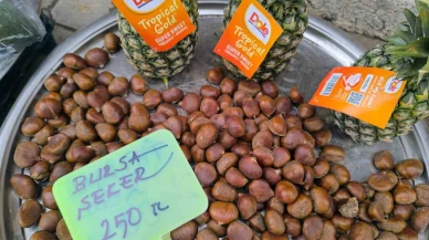 Afyonkarahisar'da Uygun Kestane Fiyatı Vatandaşı Sevindirdi