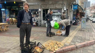Kütahya’da Kanlıca Mantarı Tezgahların Gözdesi Oldu
