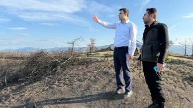 Osmaneli’nde orman yangınlarından etkilenen alanlar yeniden yeşilleniyor