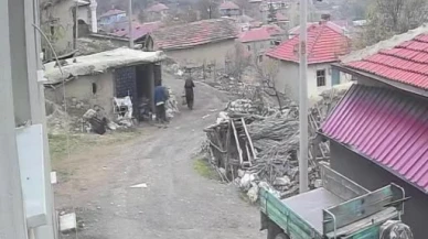 Köyde eşine saldıran şahıs tutuklandı